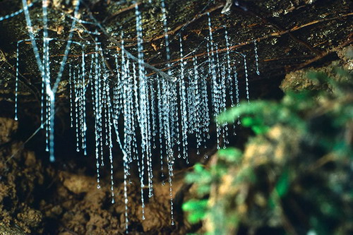 9 beautiful cave view in the world